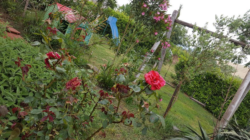 Il Giogo Agriturismo Розиньяно-Мариттимо Экстерьер фото