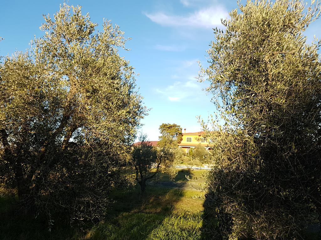 Il Giogo Agriturismo Розиньяно-Мариттимо Экстерьер фото
